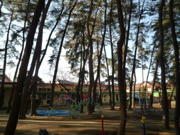 P1050328.JPG
