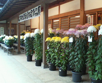 20081109.jpg