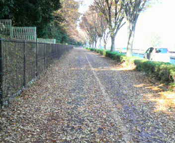 20081129_1.jpg